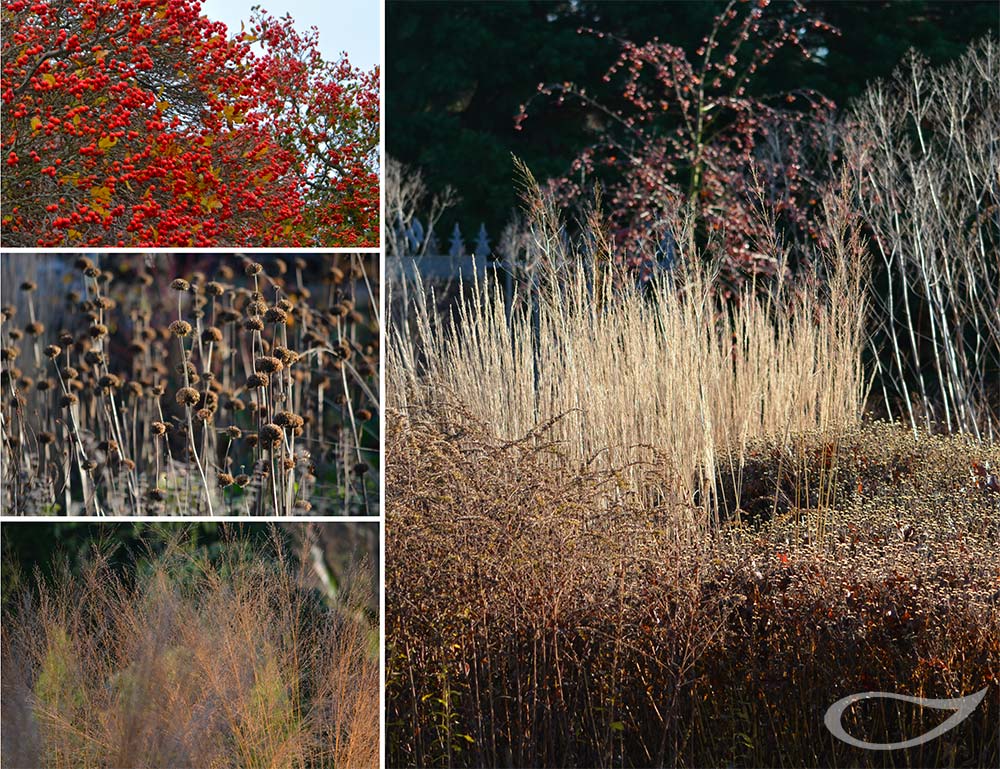 Winterliches Gartenbild 